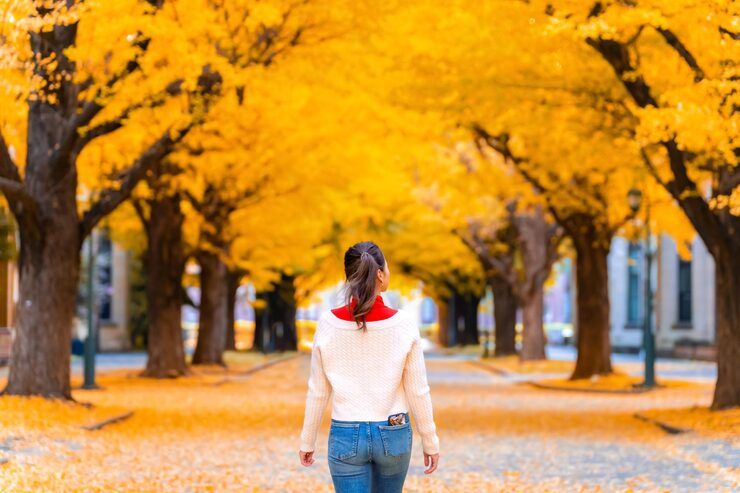 Guide to Autumn Travel: Why More People Prefer Fall Over Summer Holidays
