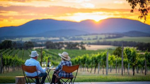 Explore South African Vineyard Tours and Discover Scenic Wine Regions