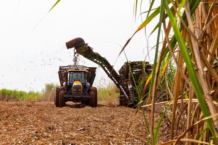 Sugarcane Harvester Tips: Understanding Operation, Performance, and Maintenance