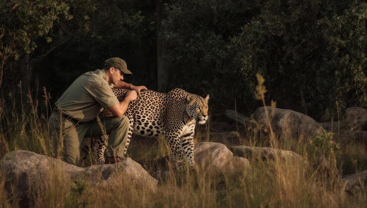Ethical Wildlife Viewing Tours: Insights Into Protecting Animals and Habitats