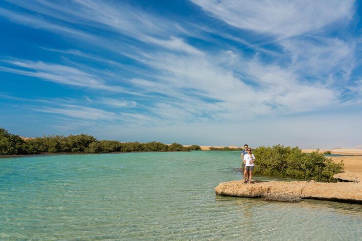 Discover Abu Dhabi Island Adventures: A Guide to Nature, Leisure, and Exploration