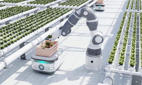 A Complete Guide to IoT Technologies Used in Greenhouse Automation